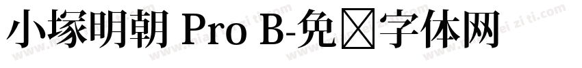 小塚明朝 Pro B字体转换